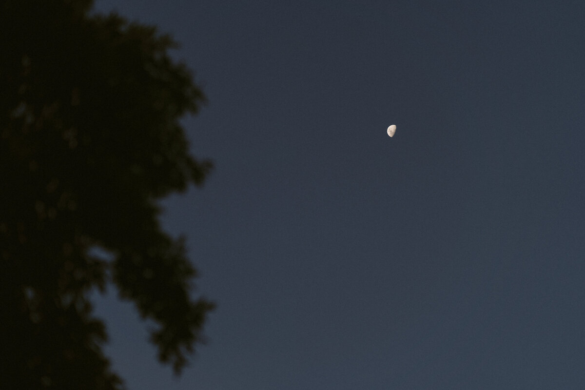 ankebi-photography-1-59