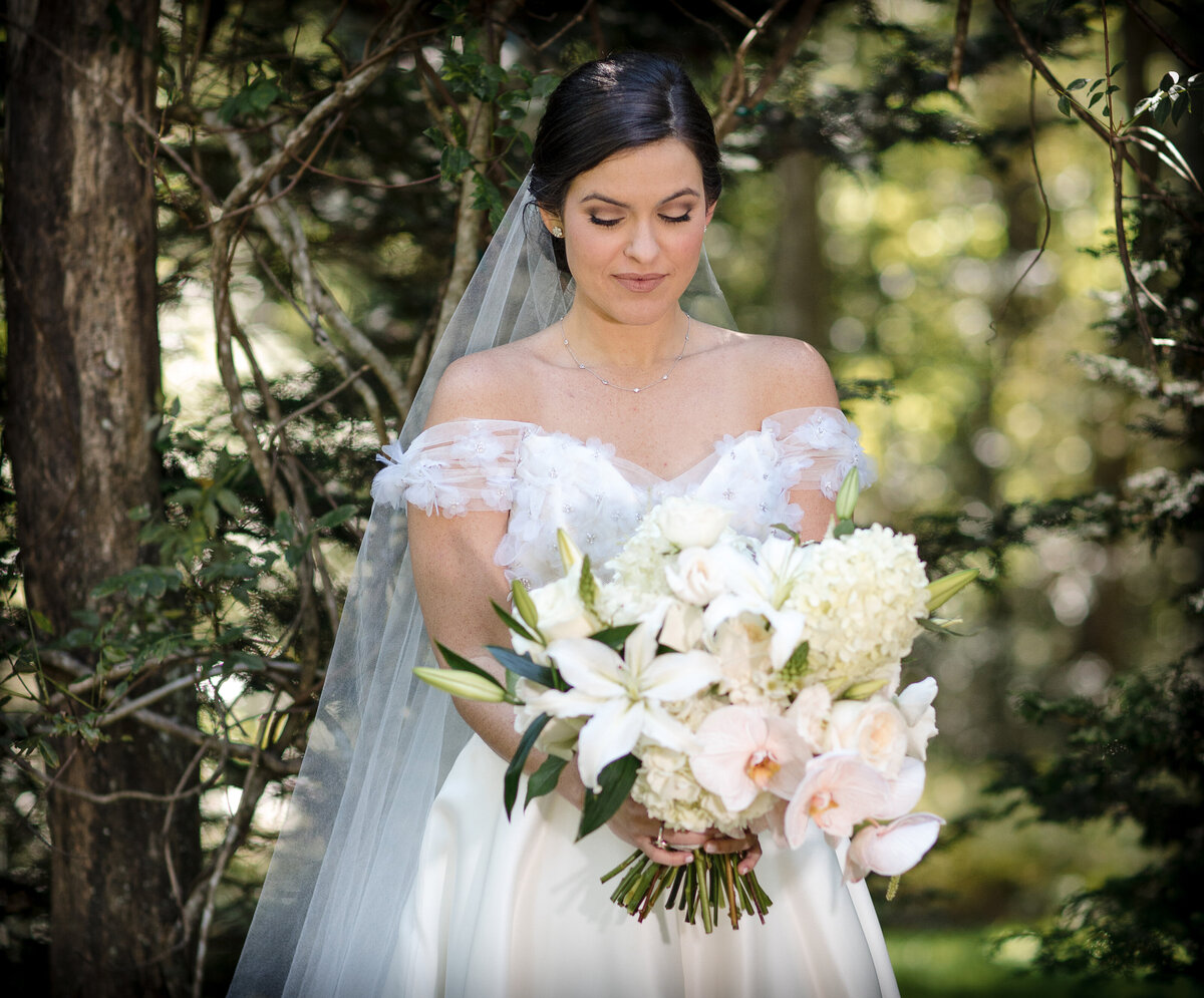 Bridal Portrait at Cashiers NC Wedding