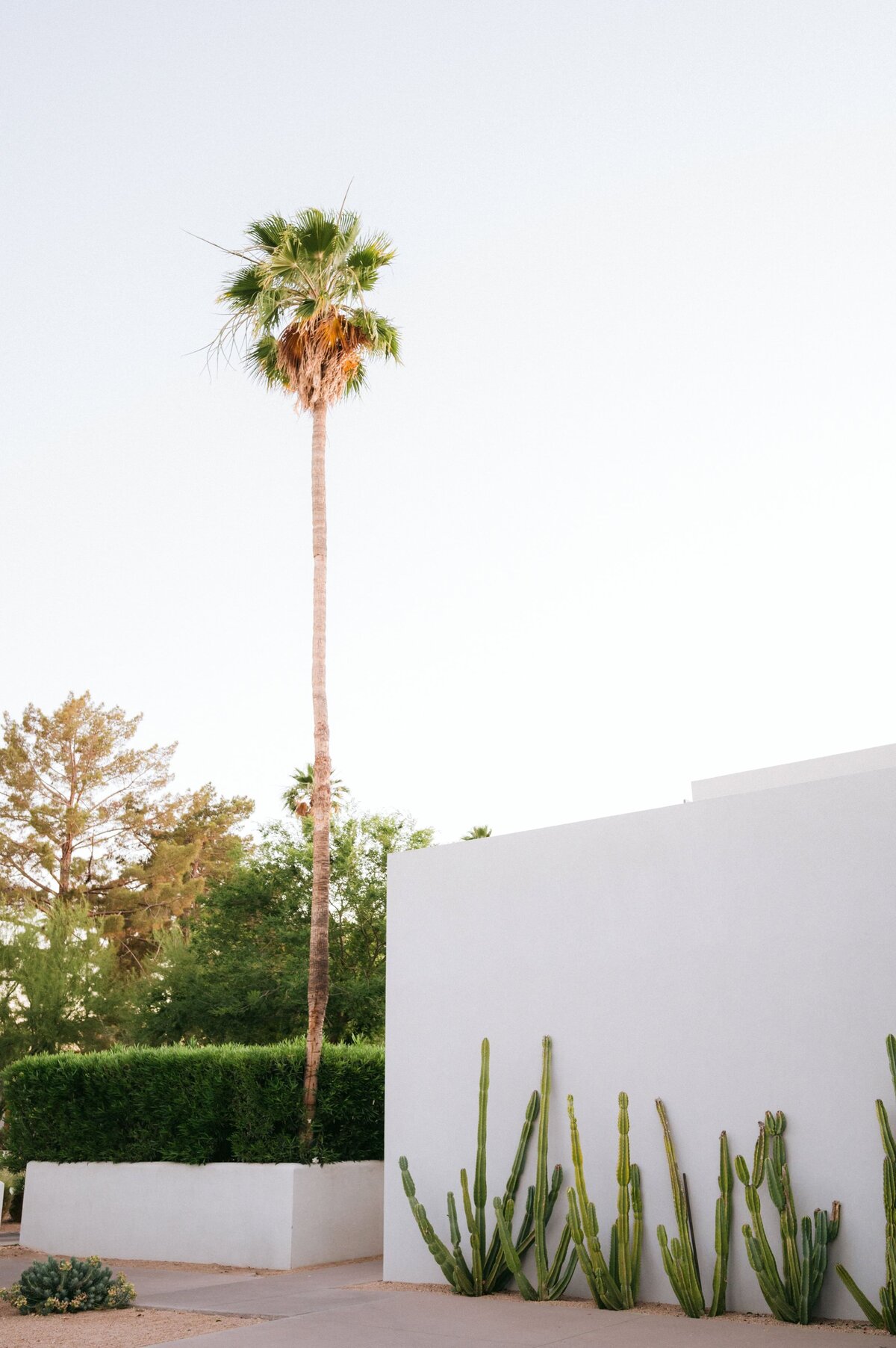 wedding-at-andaz-scottsdale-arizona-20