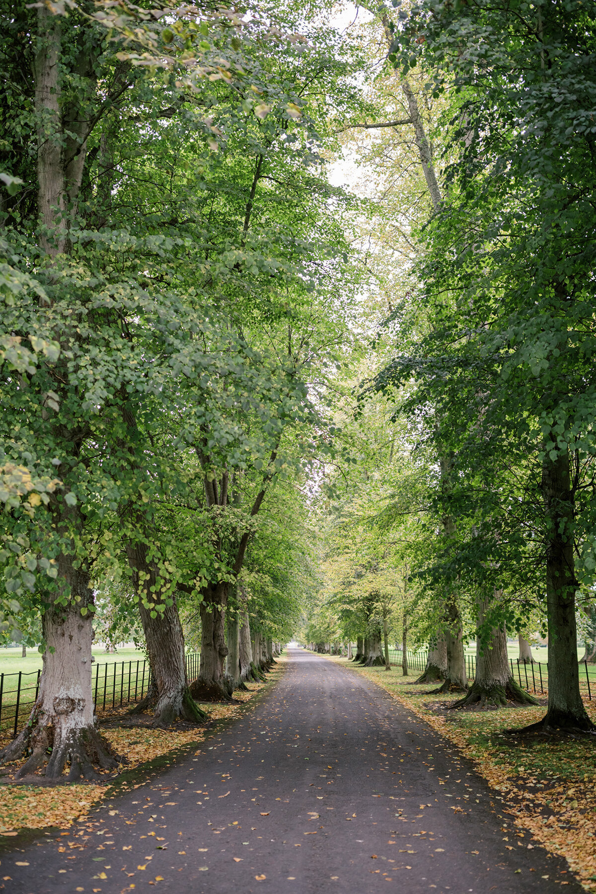 Michelle Norwood Living - Luxury Travel Inspiration - Scene Setters Ireland - Megan-Noll_Engage-Ireland22-35