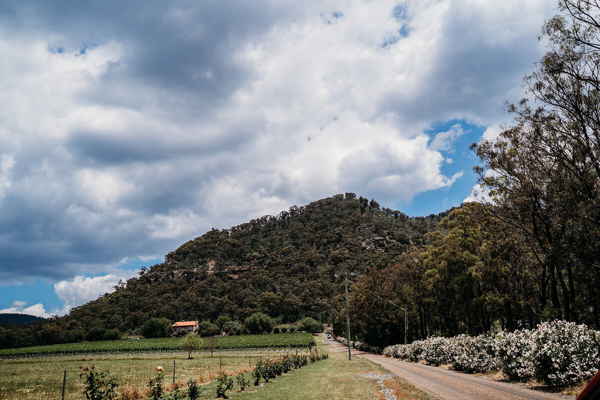 Margan_Photography_Tallits_Estate_Hunter_Valley-2