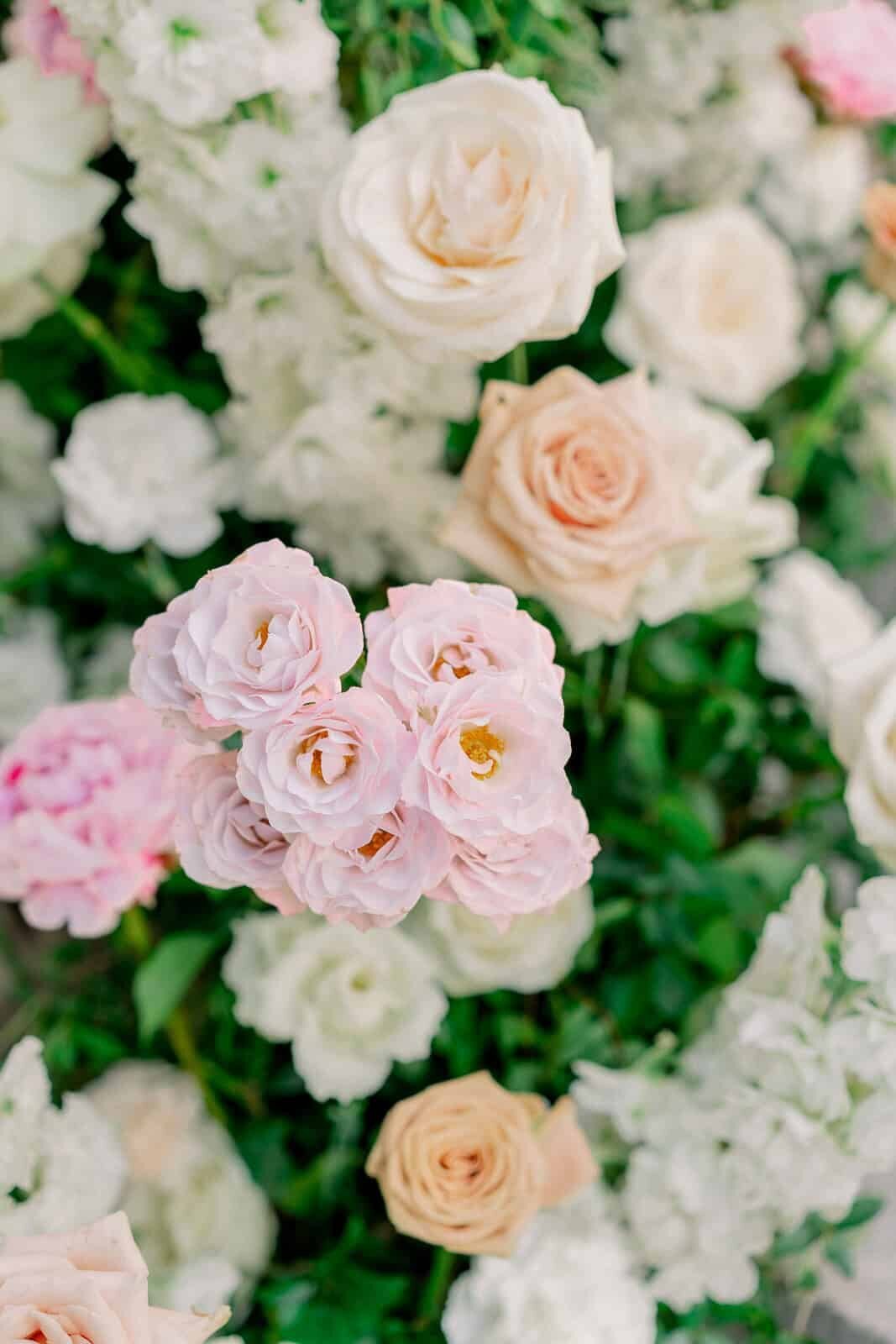 andrea-marino-wedding-photographer-provence-france-south-french-riviera--45