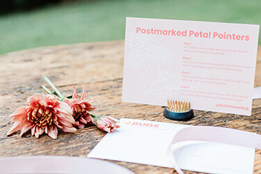 Horn Photography & Design Buds - 0027_