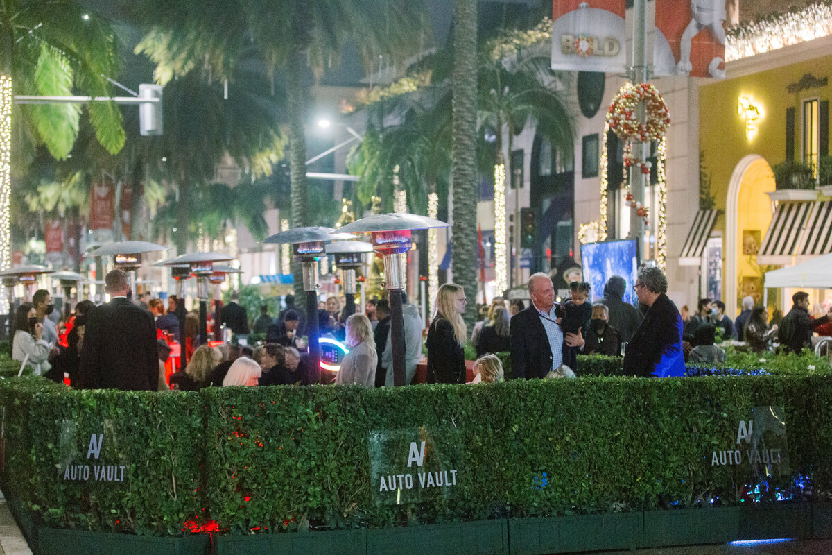 Rodeo Drive Lighting Ceremony-120