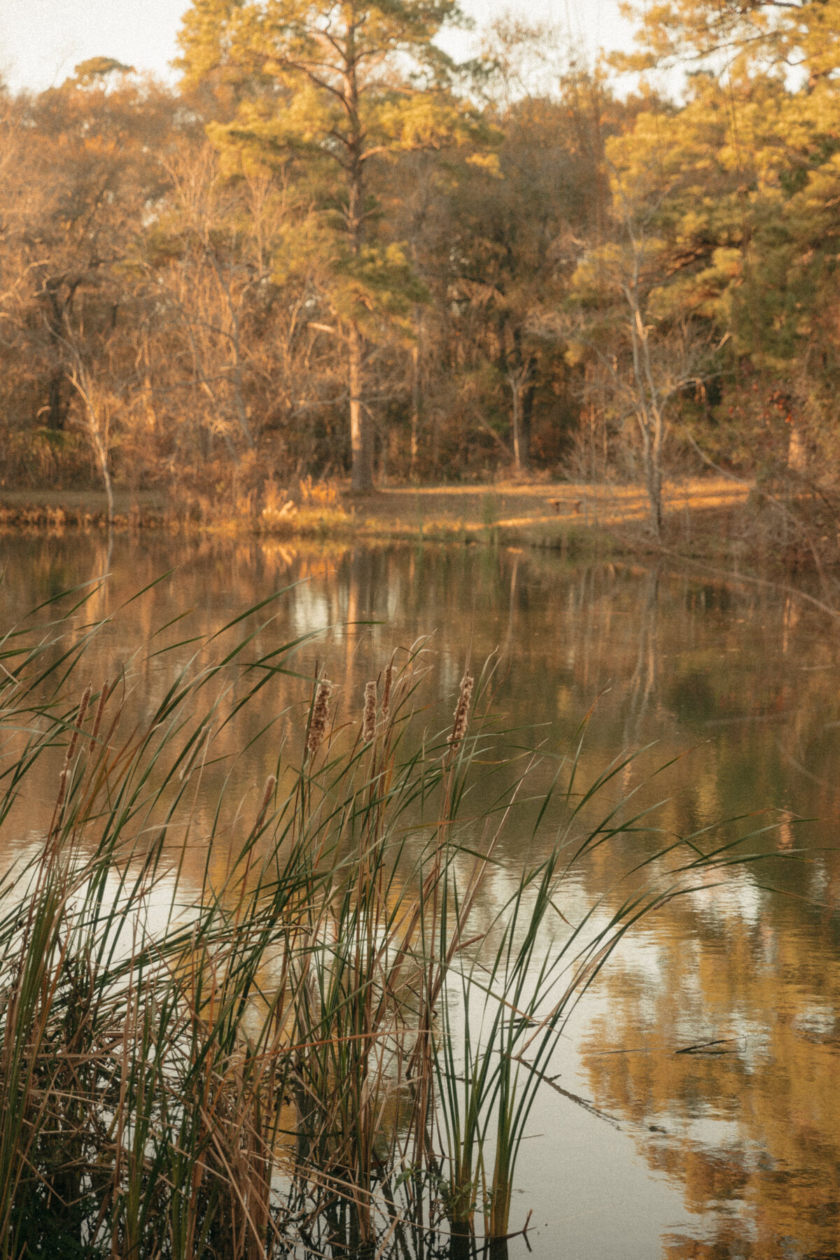 TippeltWedding-PaytonHartsellPhotography-688