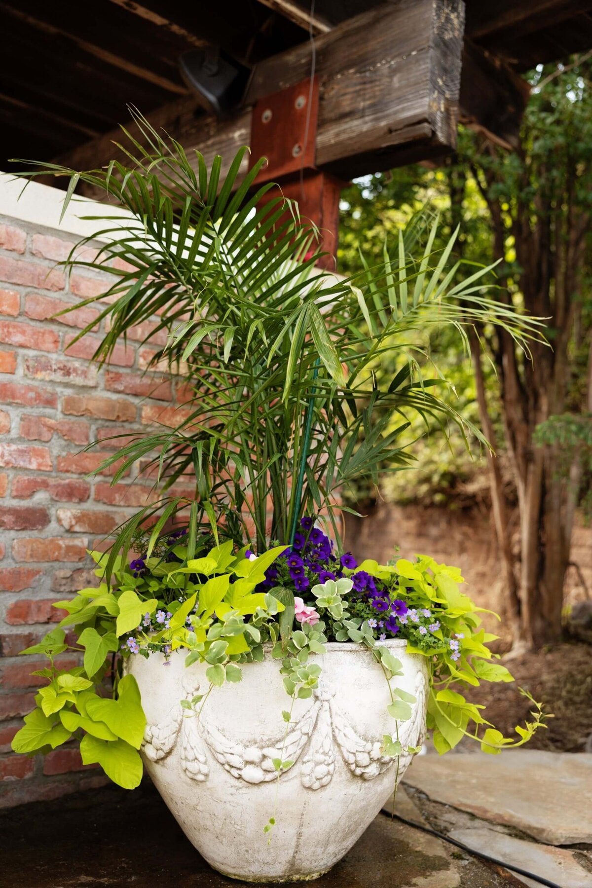 lush-seasonal-color-planter-purple-yellow-green-little-rock