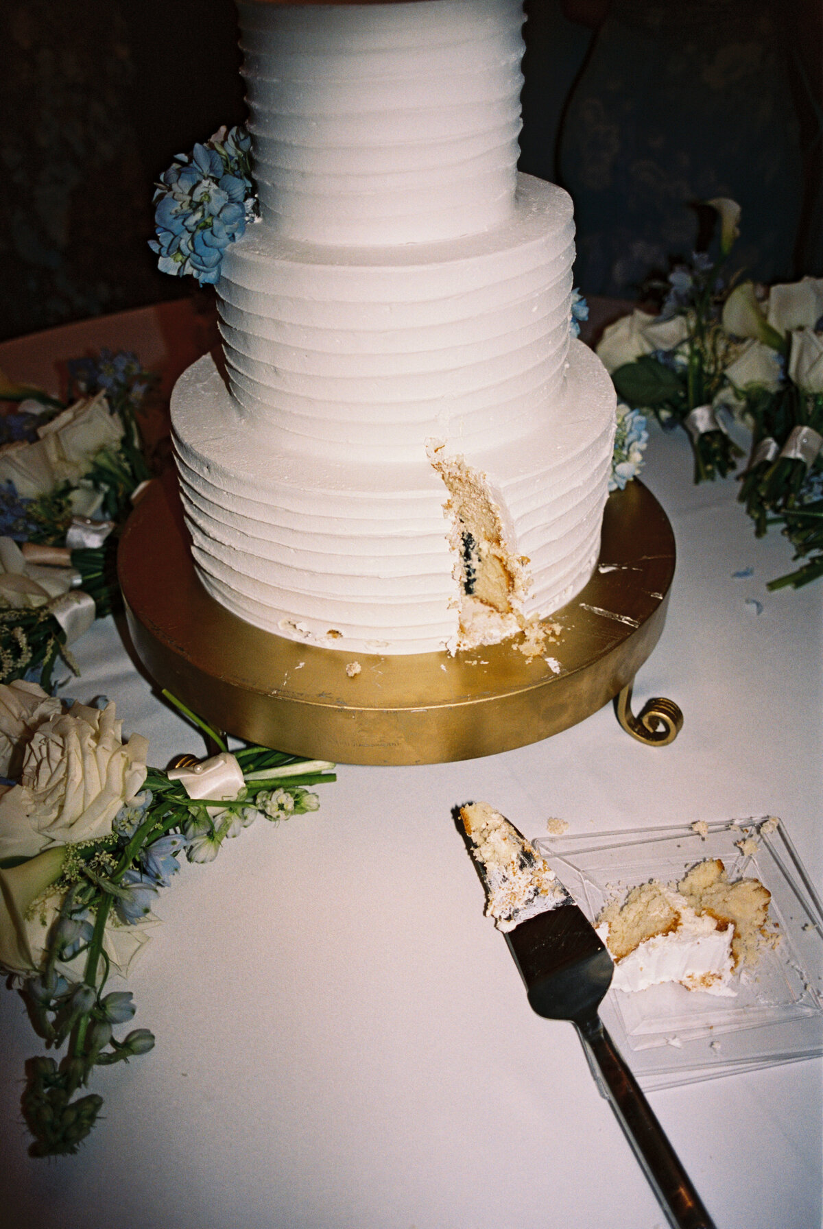 mollyandgeorge-28