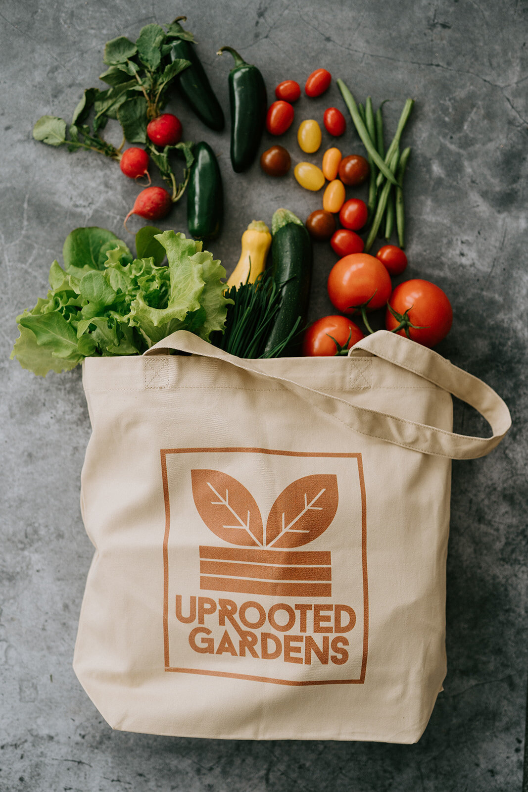 Uprooted-Product Shots 2023-122