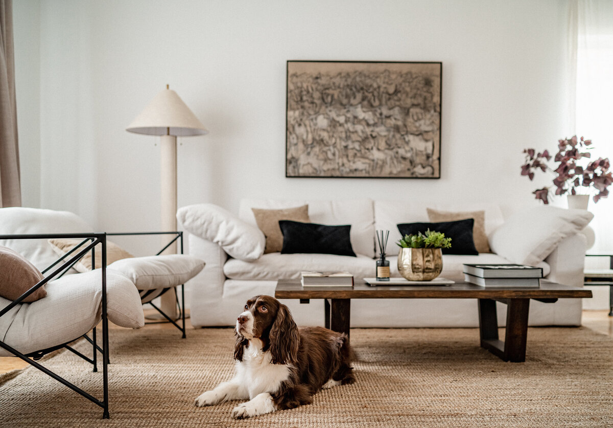living room styling with wood coffee table and white sofa and armchairs and dog