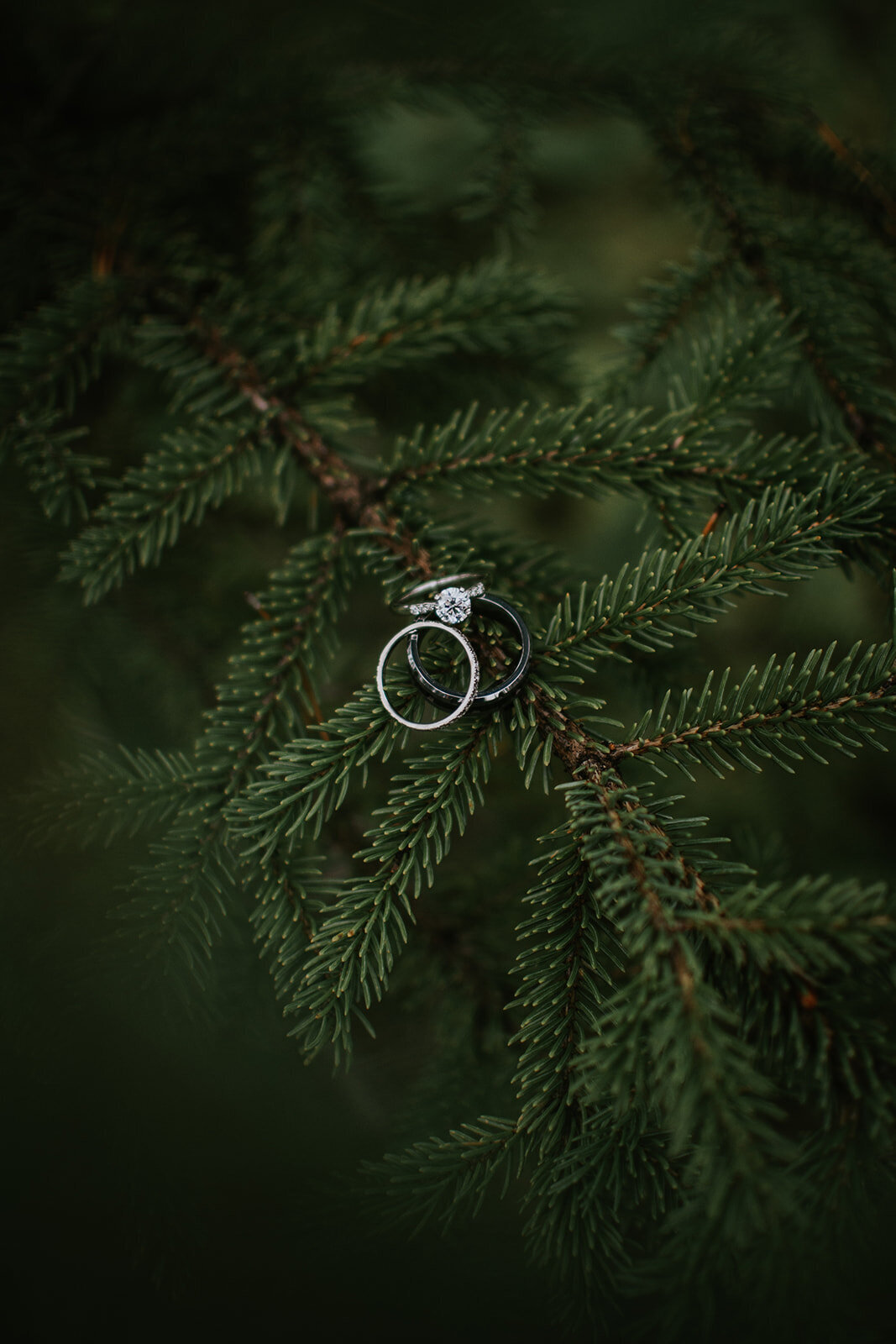 wedding photography rings