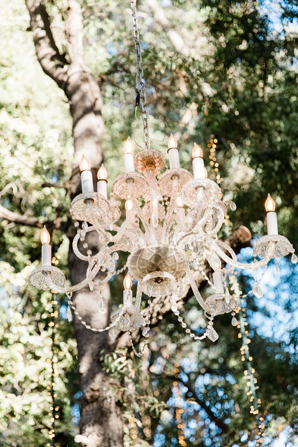 same-sex-wedding-calamigos-wedding-planner21