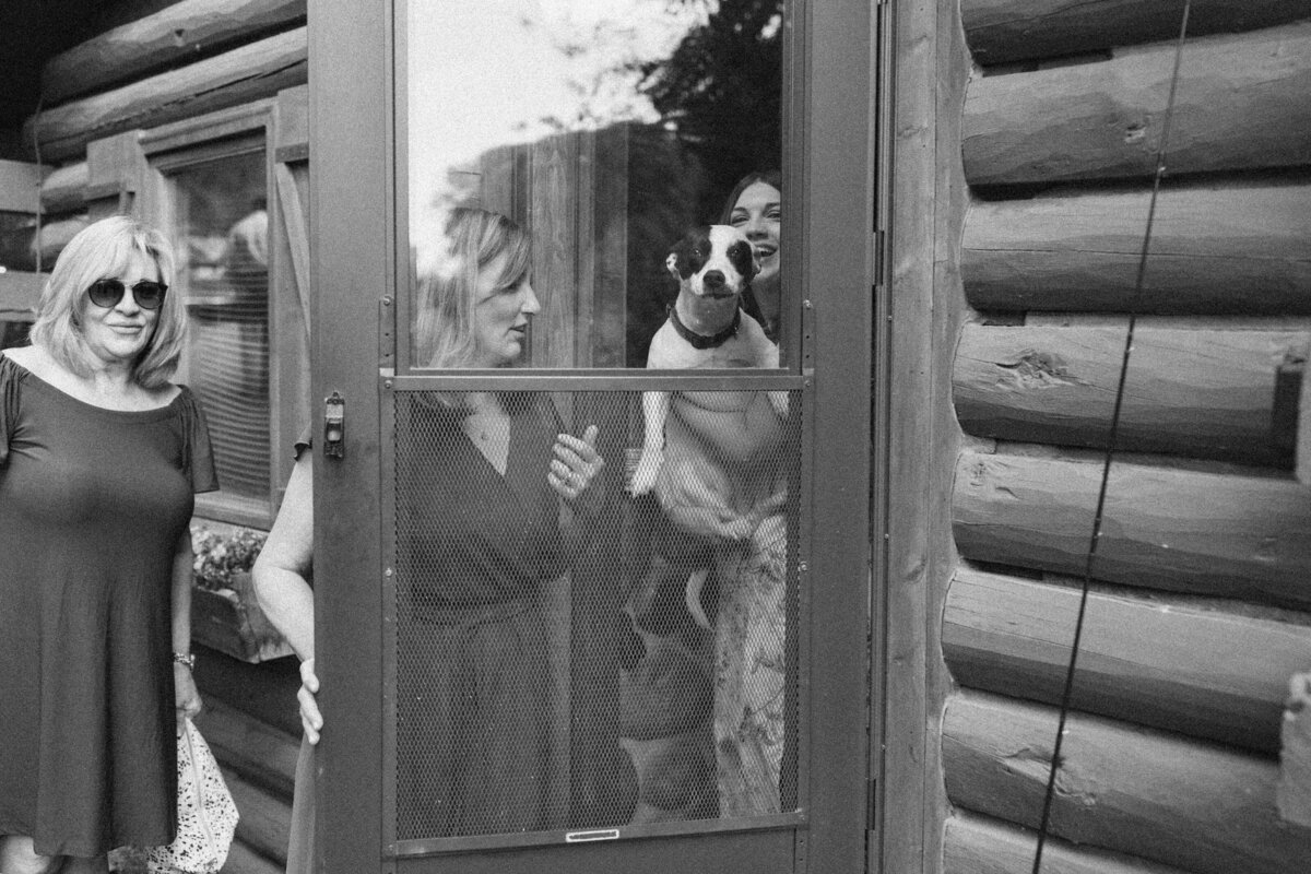 Dog being help up to glass door surrounded by several women