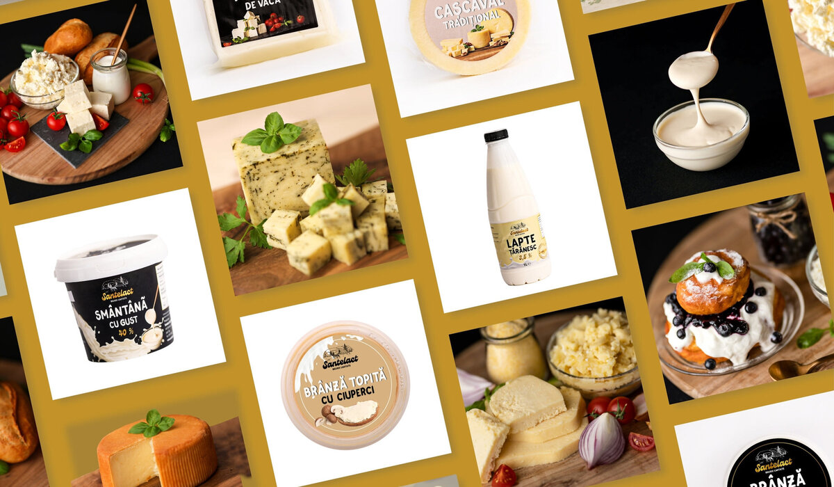 brand design for dairy company13