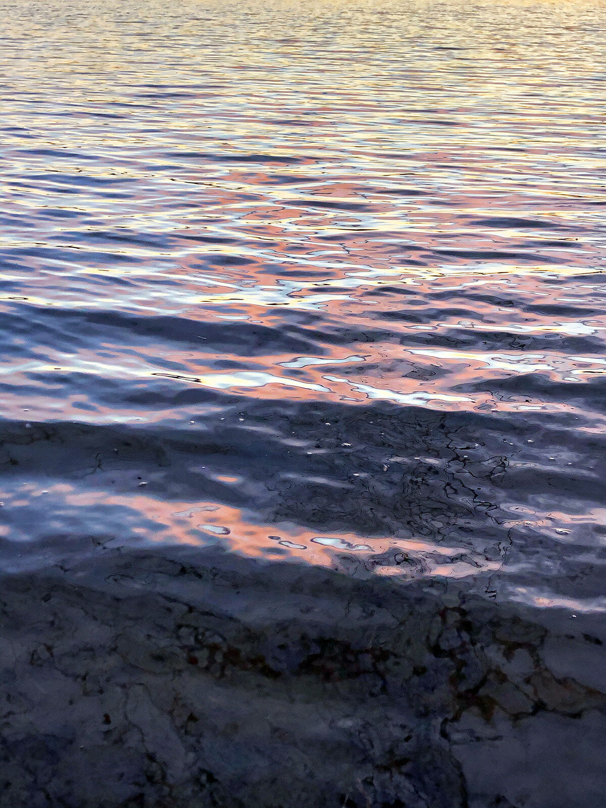 CCC_Estuary_42