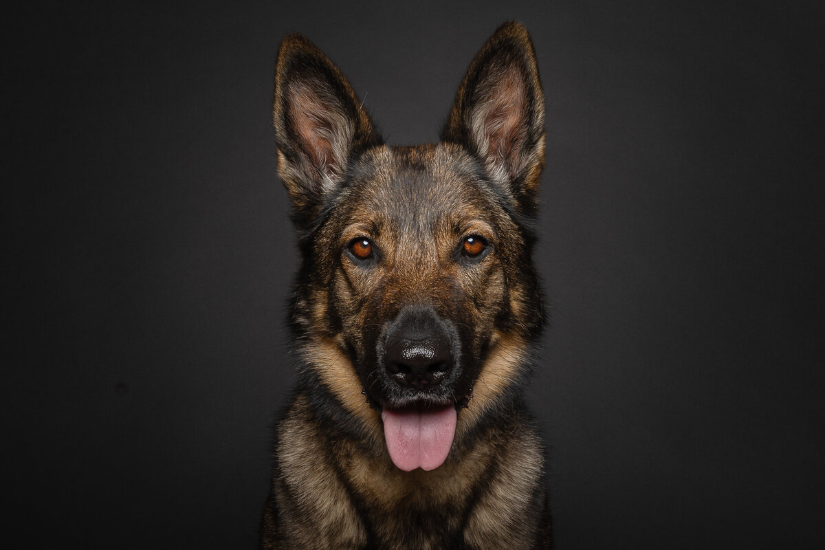 GSD studio portrait