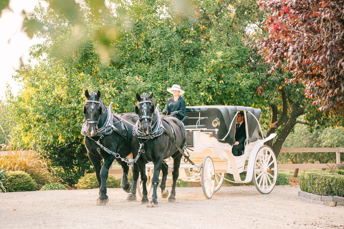 Wedding-Photographer-Visalia-18