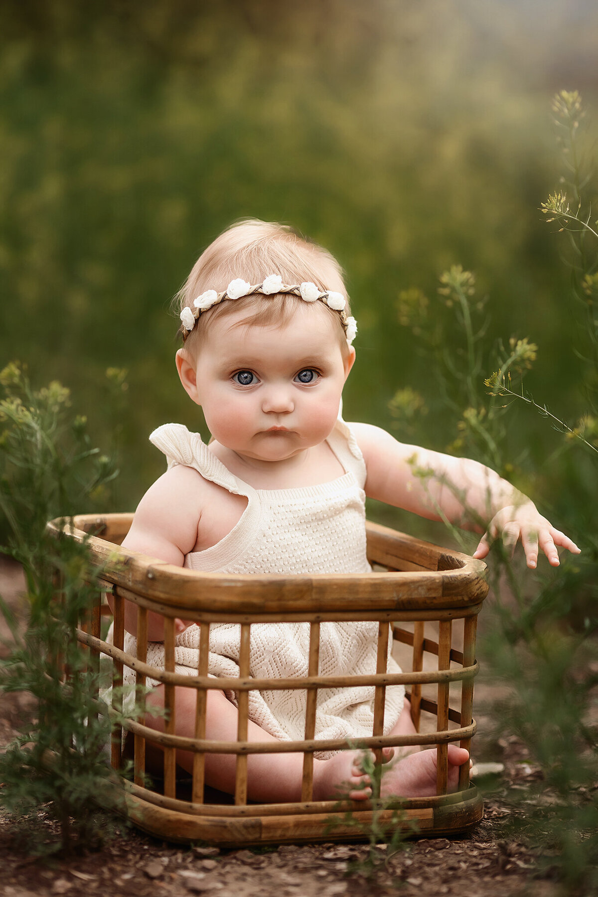 beautiful 6 month old baby girl outside in a wooden crate for her denver photos