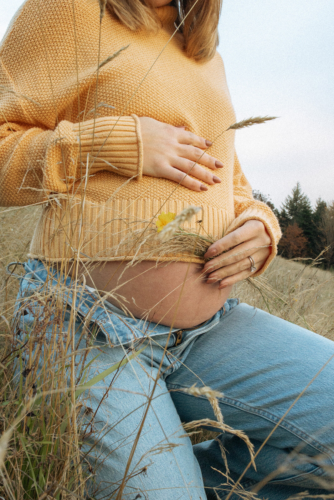 Lauren-Mitchell-Seattle-Washington-Maternity-Photographer19