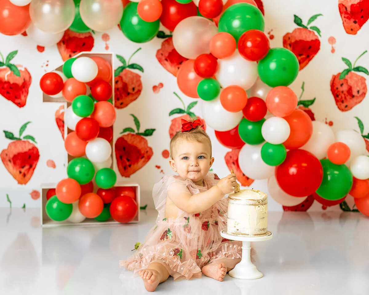 Hudson-Valley-Cake-Smash-Photographer (10)