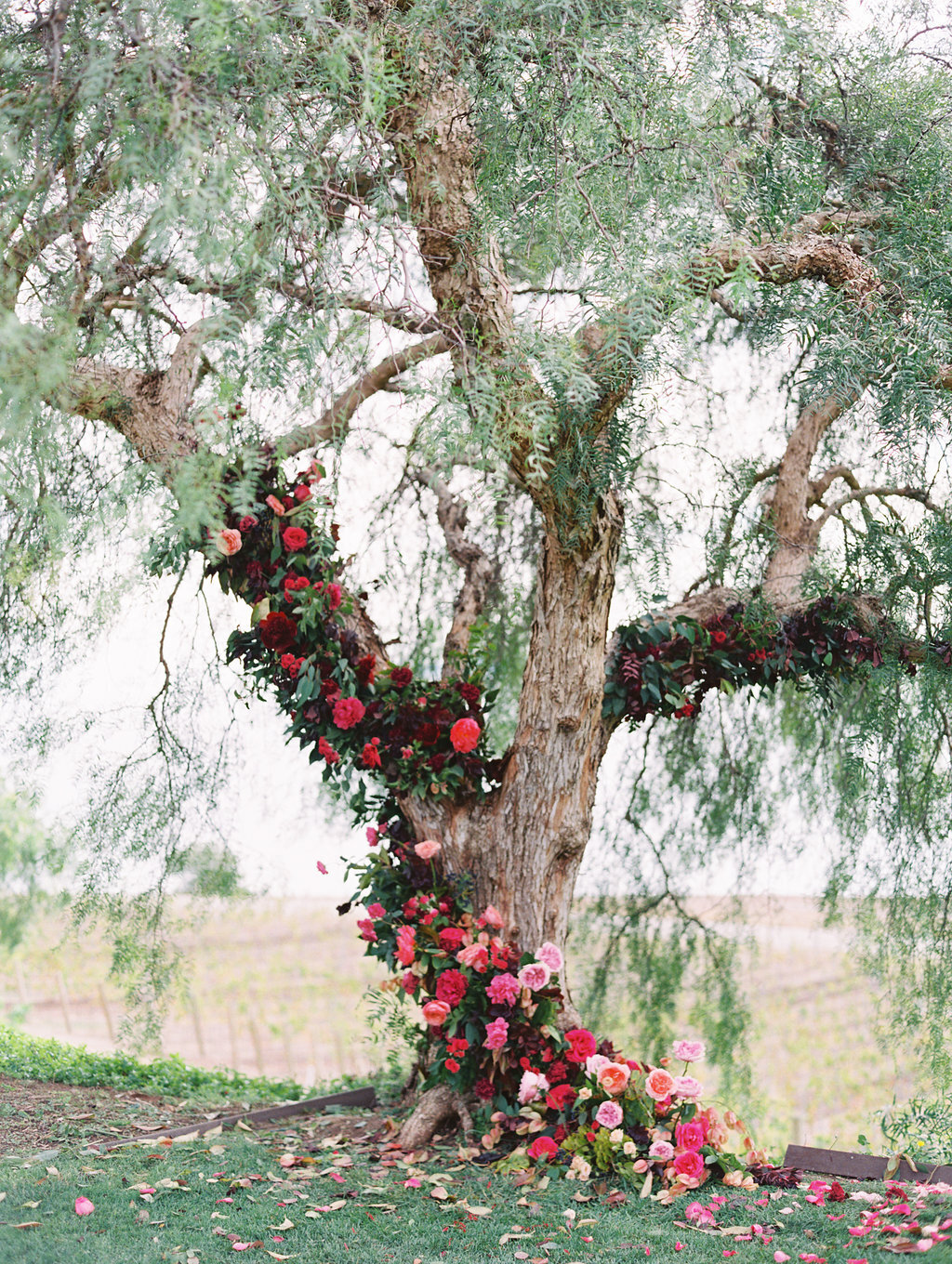 max-owens-design-destination-wedding-california-08-ceremony-tree