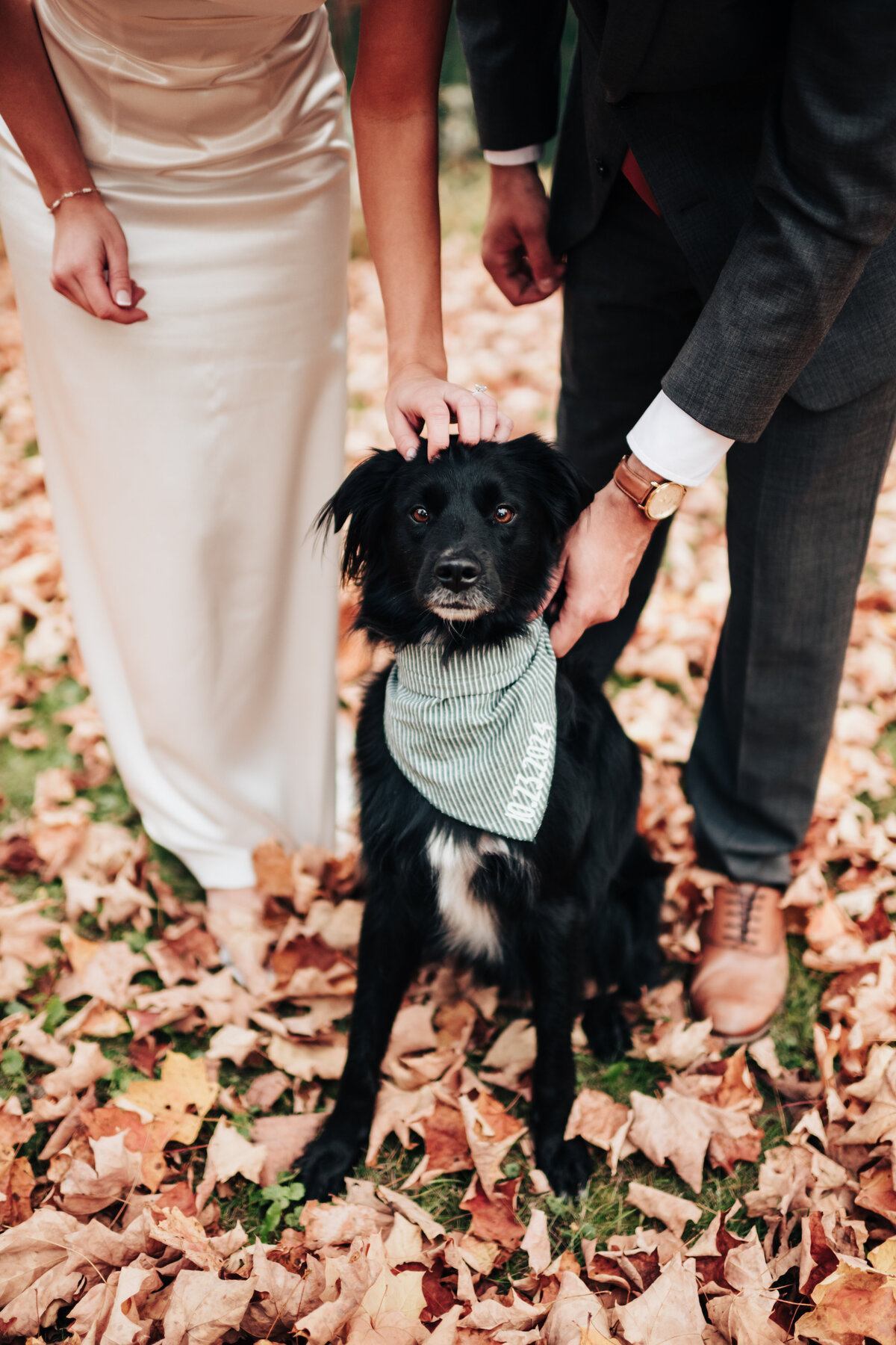 Kaila and Company-rylie and riley hocking hills elopement-31