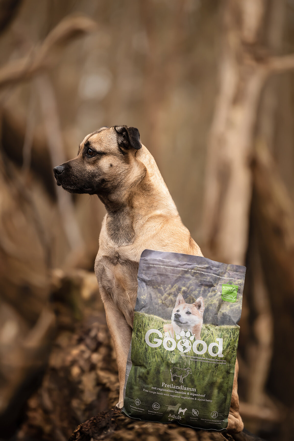gooodpetfood productfoto en hondenmodel