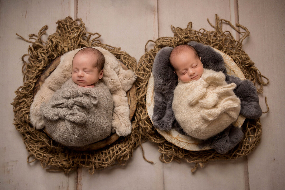 Charlotte Twin Newborn Photographer