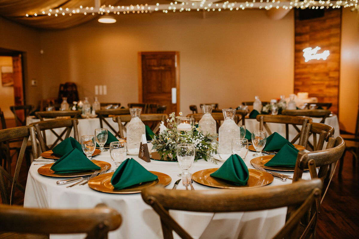 Mason + Kyliegh Wedding_ReceptionPortraits-21