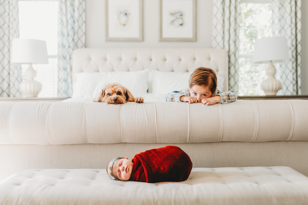 york-lifestyle-newborn-photographer-16