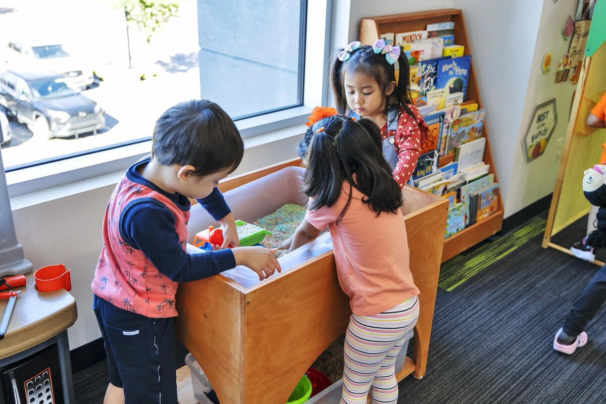 Sensory Development