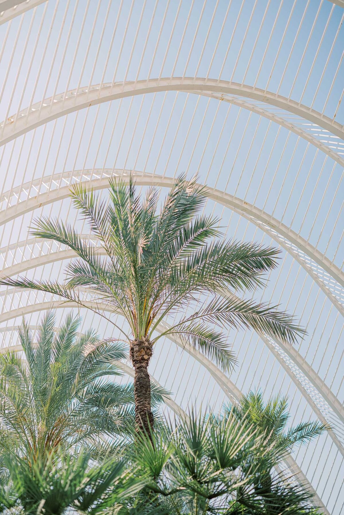 Photoshoot-City-of-Arts-and-Sciences-Valencia-75