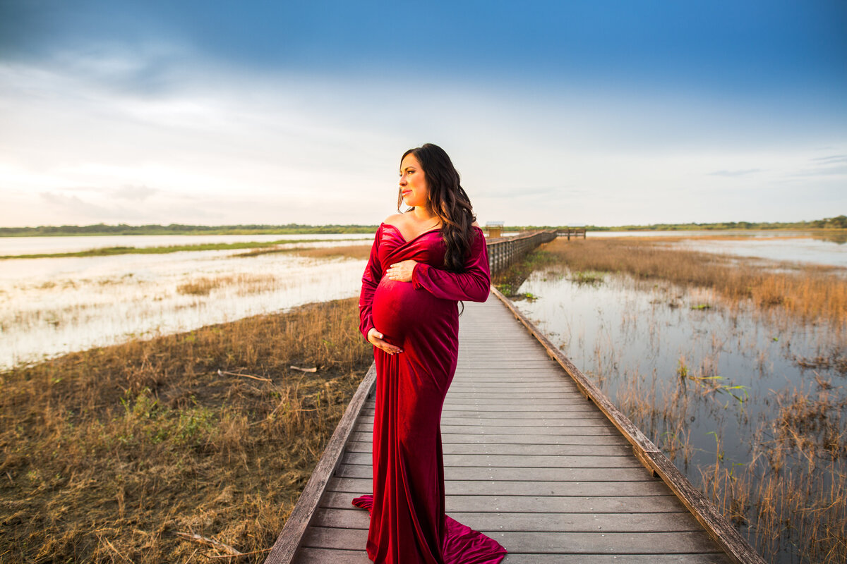 Sarasota Maternity Photographer