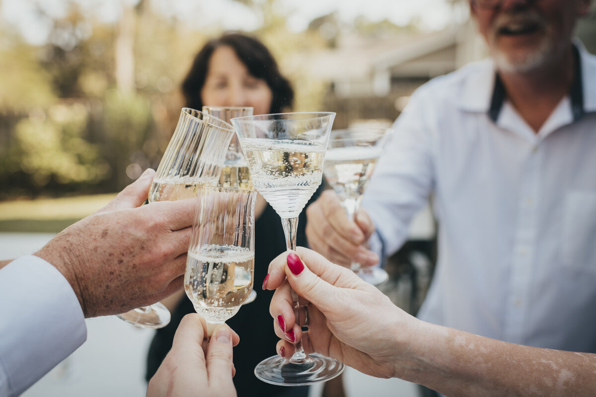 Guests cheersing with wine glasses at South Carolina Wedding