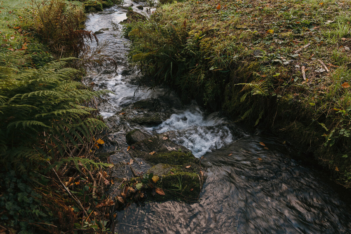 Hotel Endsleigh Wedding_Freckle Photography Devon_006