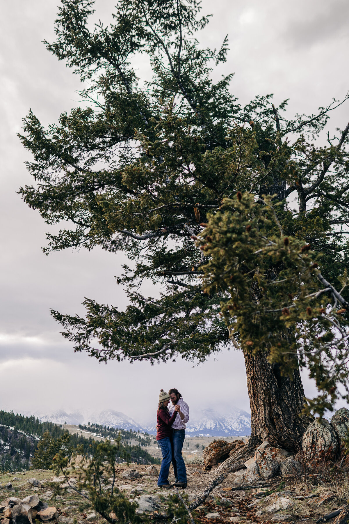 Engagement photos at the wedding tree