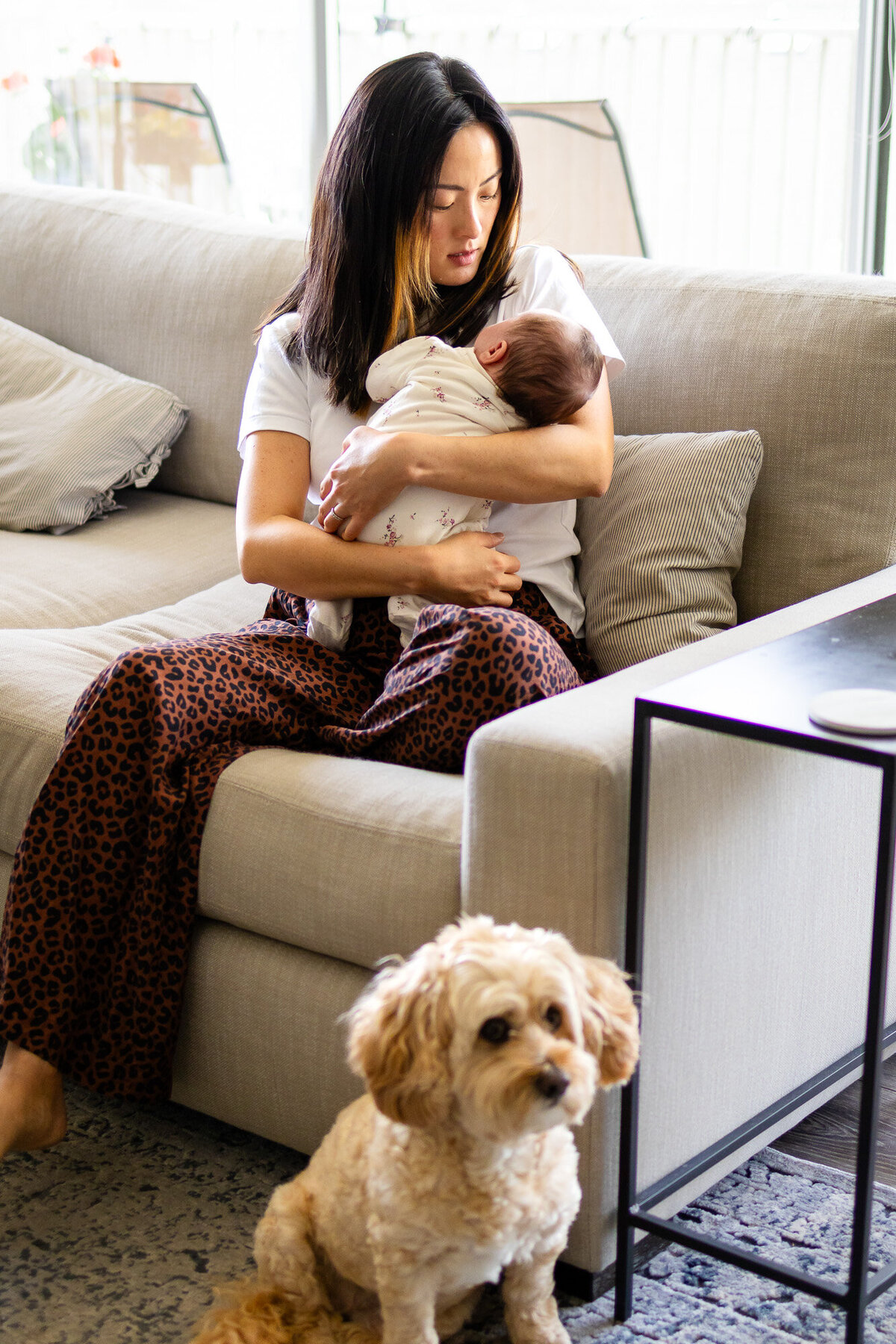 A mom cradling her swaddled newborn on the living room couch with their dog nearby, photographed by San Francisco newborn photographer.