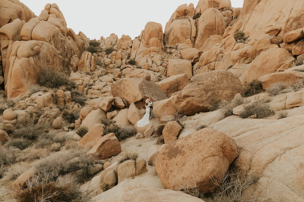 Joshua-Tree-Elopement-153