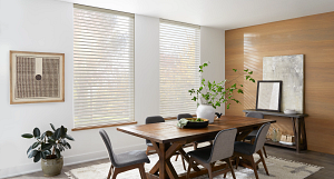 Alta Sheer Shadings