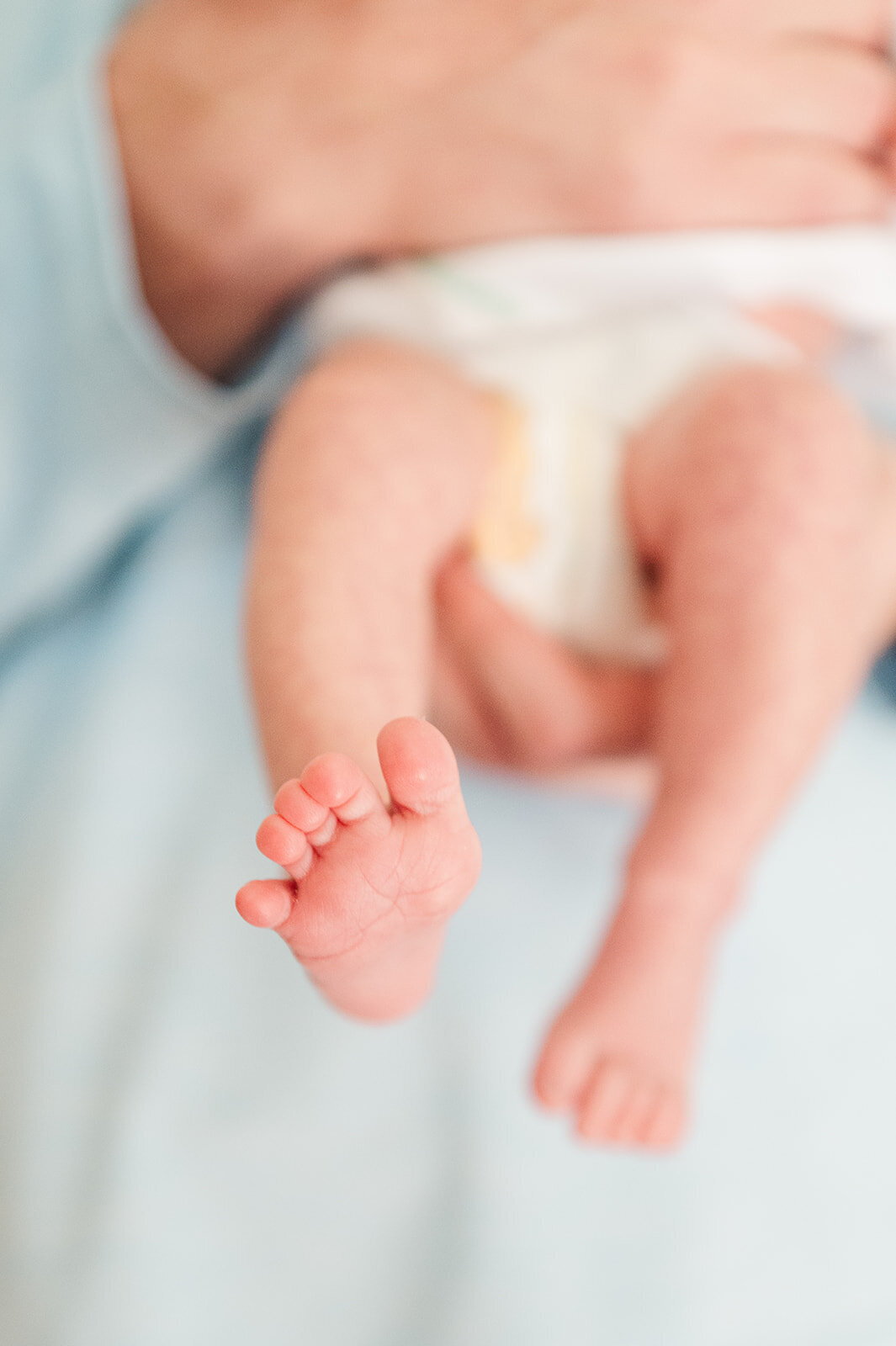 close up of baby feet newborn photgraphy lancaster pa