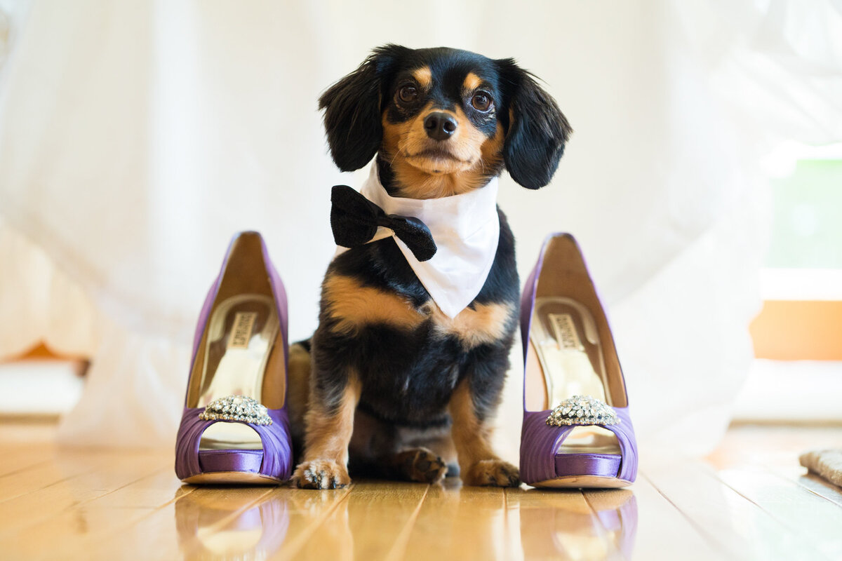 UncorkedStudios_EnglertWedding_0312a