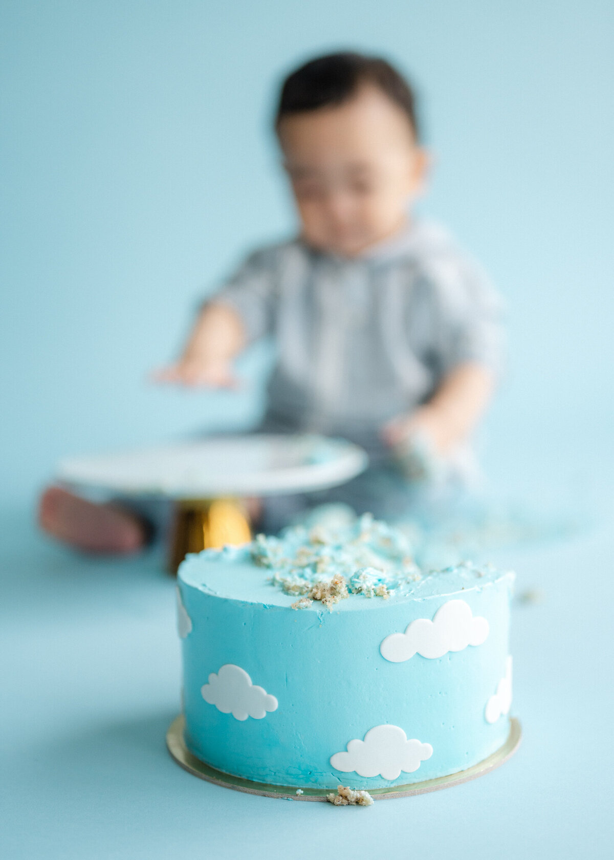 Family Photography Cake Smash