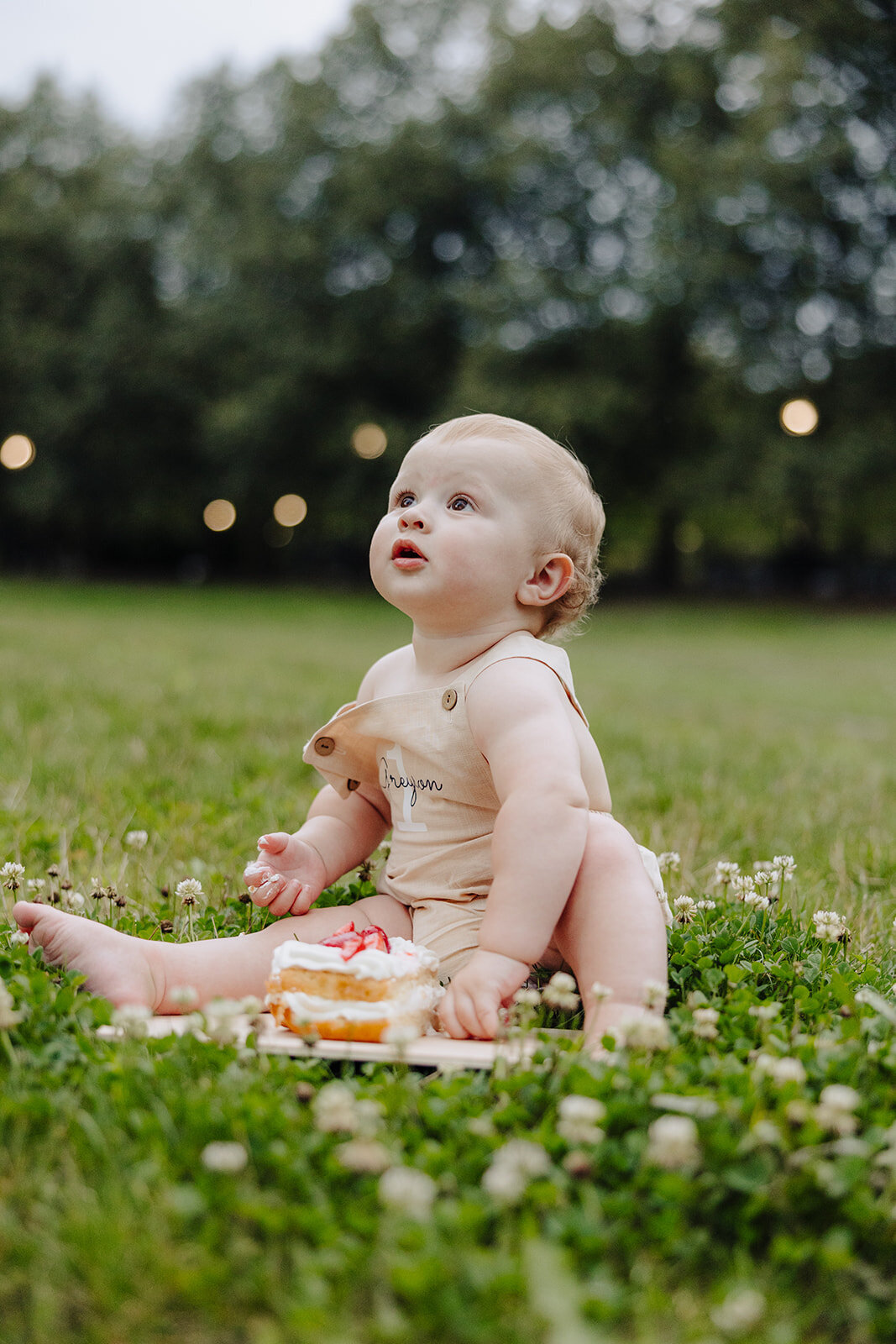 Baby First Year photo session in the Finger Lakes