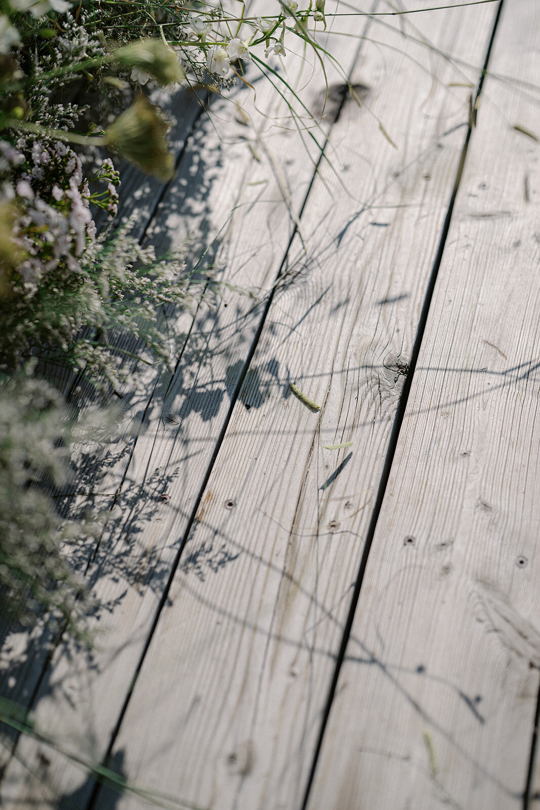 Vanessa & Gabriel Wedding - 0321