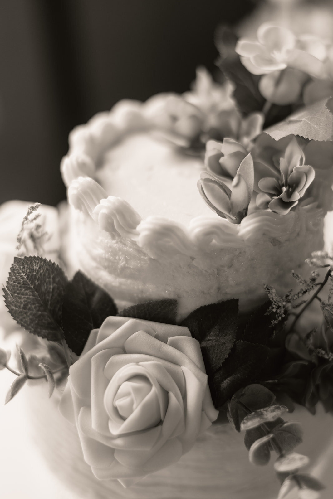 TheHerolds_TheEvening_0988-Copy1