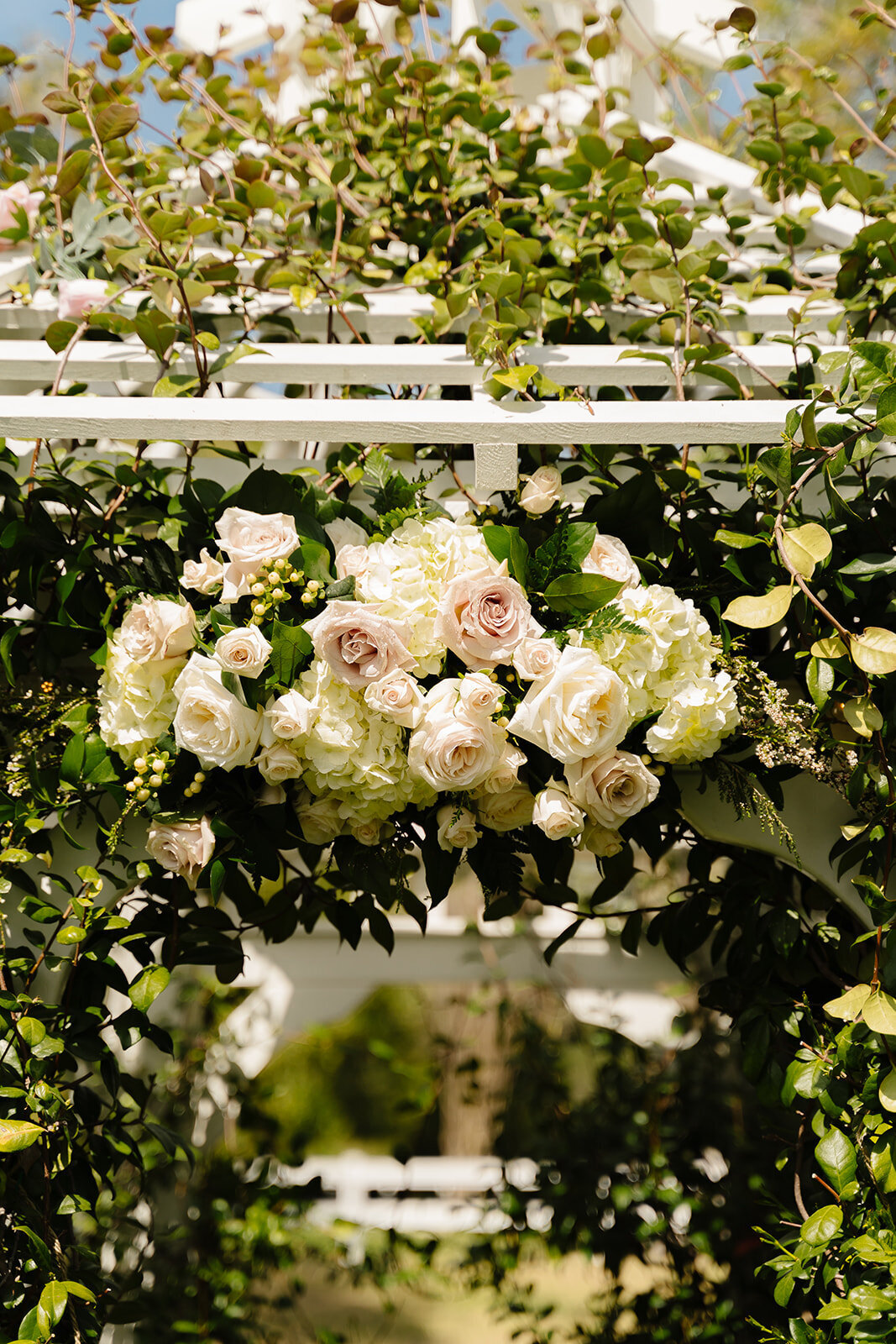 Coto De Caza Wedding 18