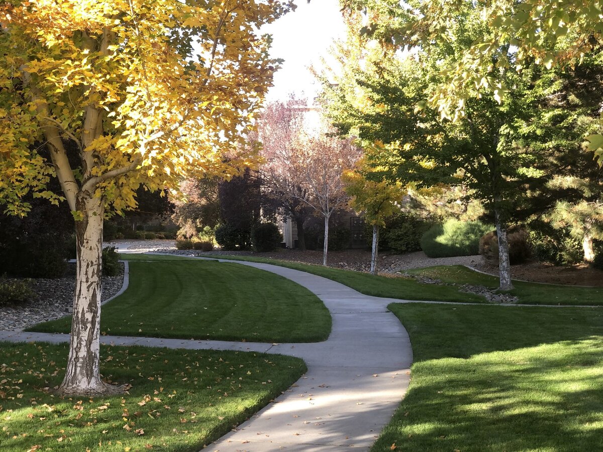Walkway-in-Fall-1-scaled