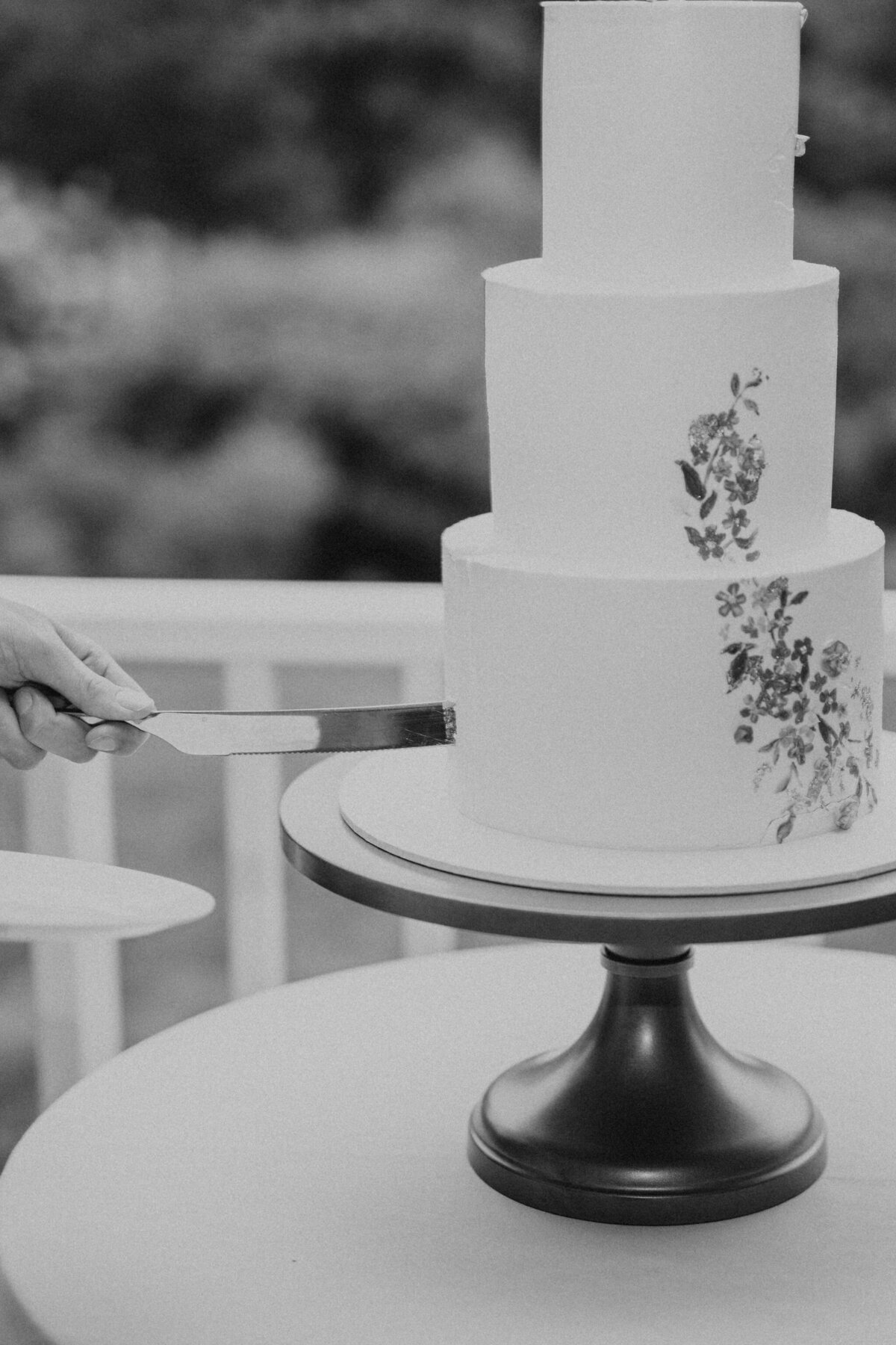 virginiaweddingpatiencenoelphoto-1433