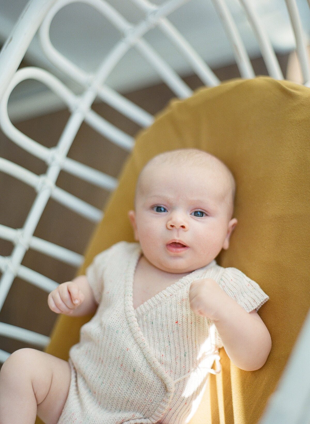 Rachel-Breier-Photography-Malvern-Family_photography (3)
