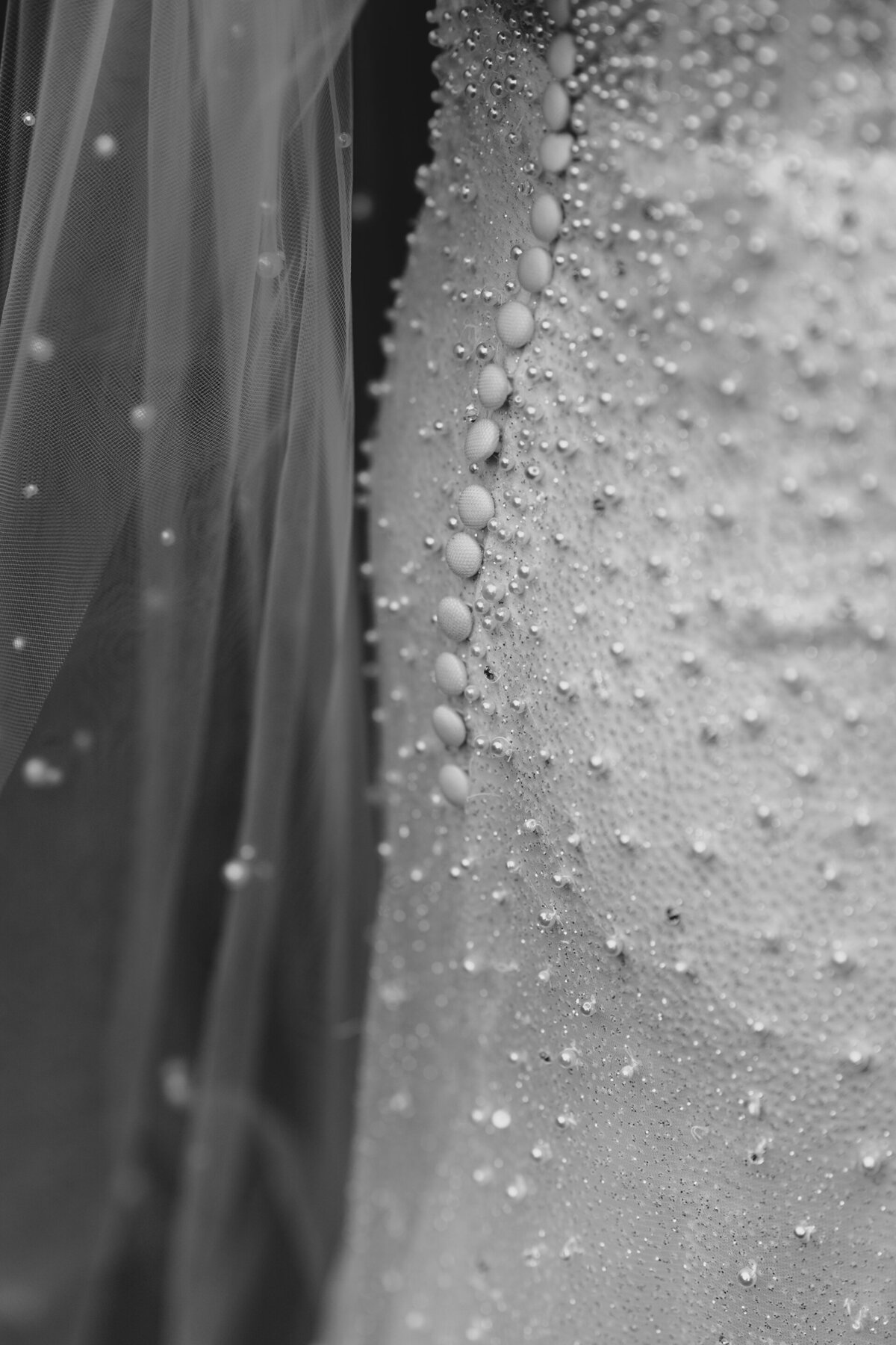 Lotte-Bosschieter-Photography-Wedding-Hortus Botanicus Amsterdam 4