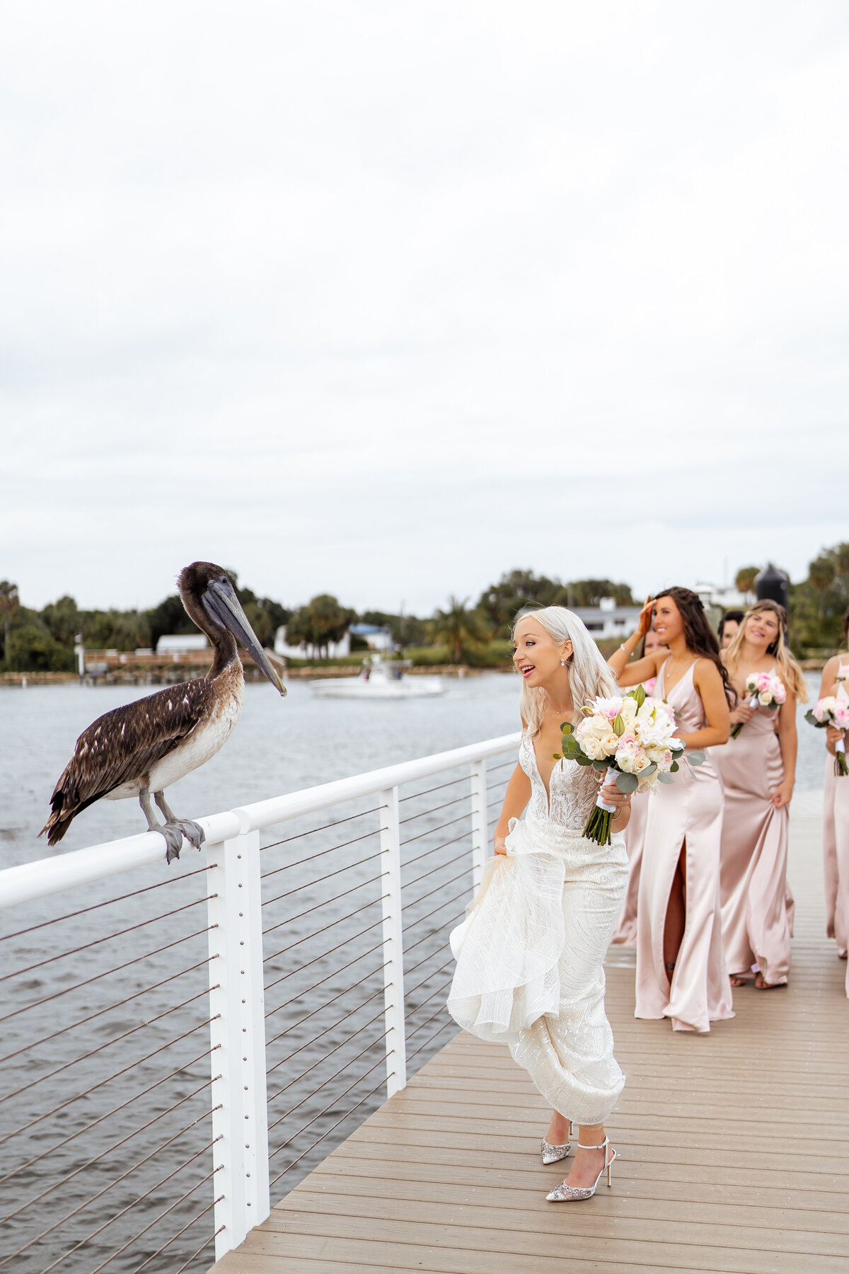 pelicanclubjupiter